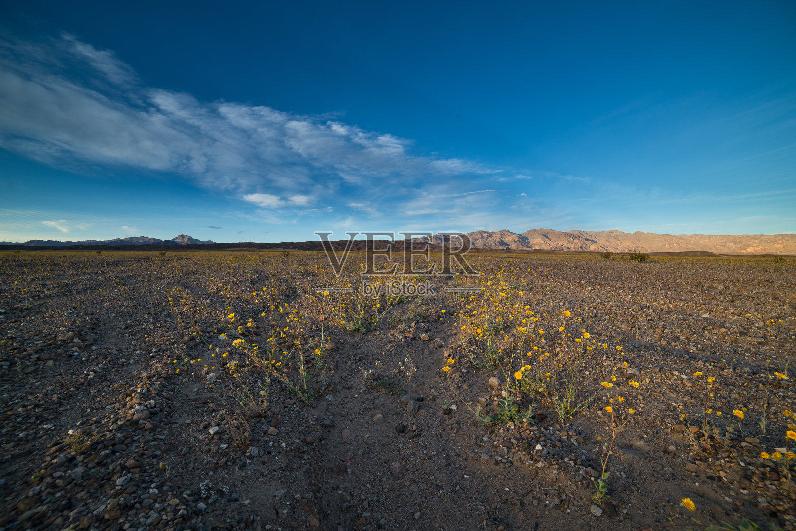 死亡谷照片摄影图片