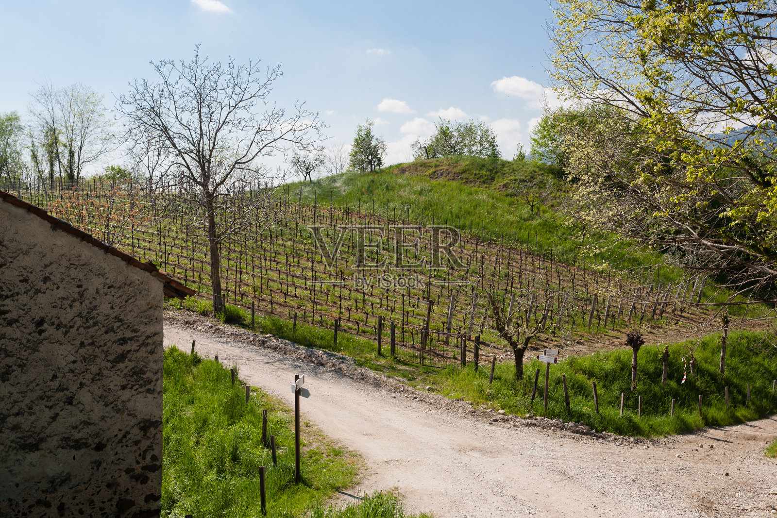 行酒照片摄影图片