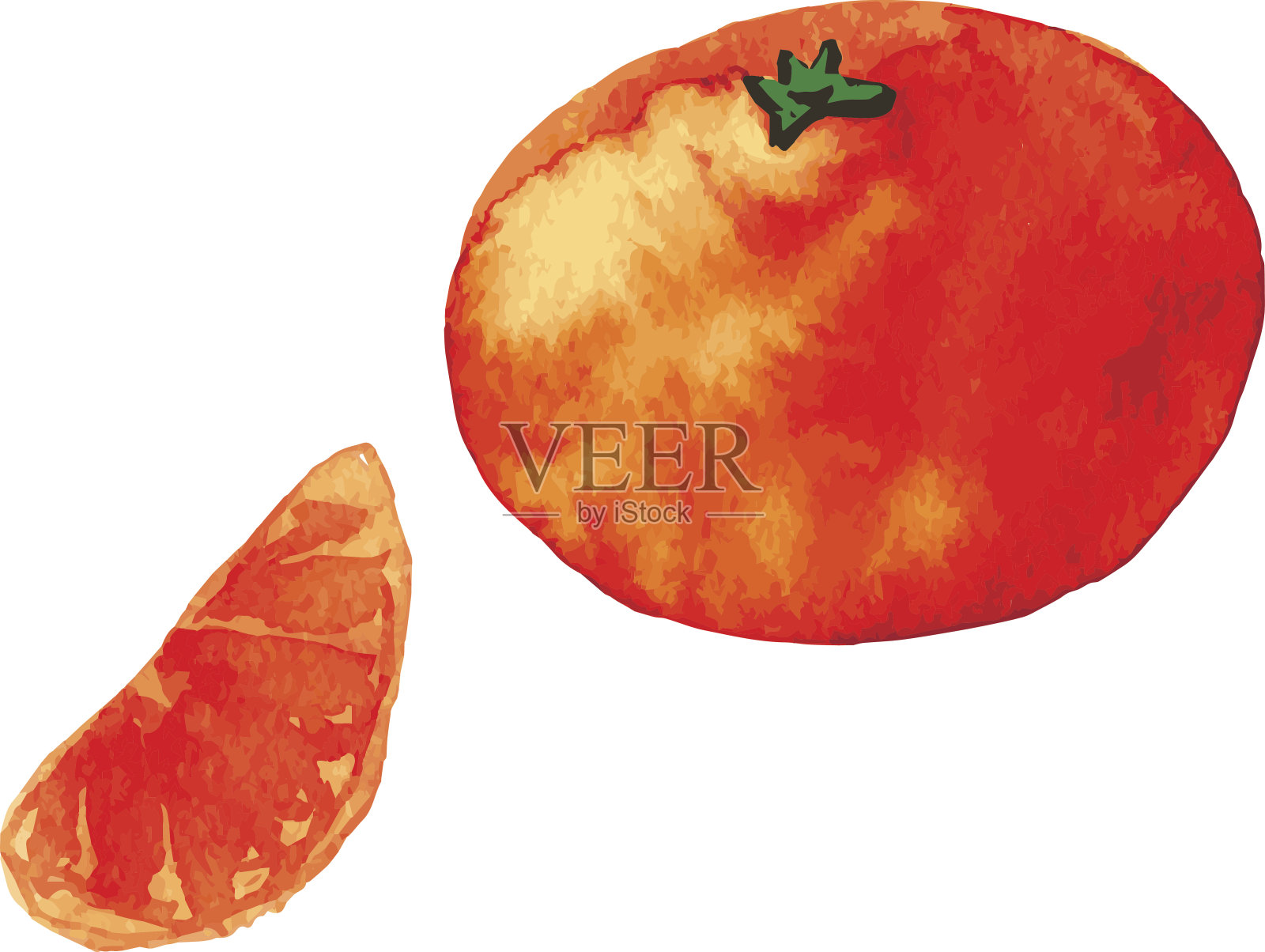 水彩柑橘类水果插画图片素材