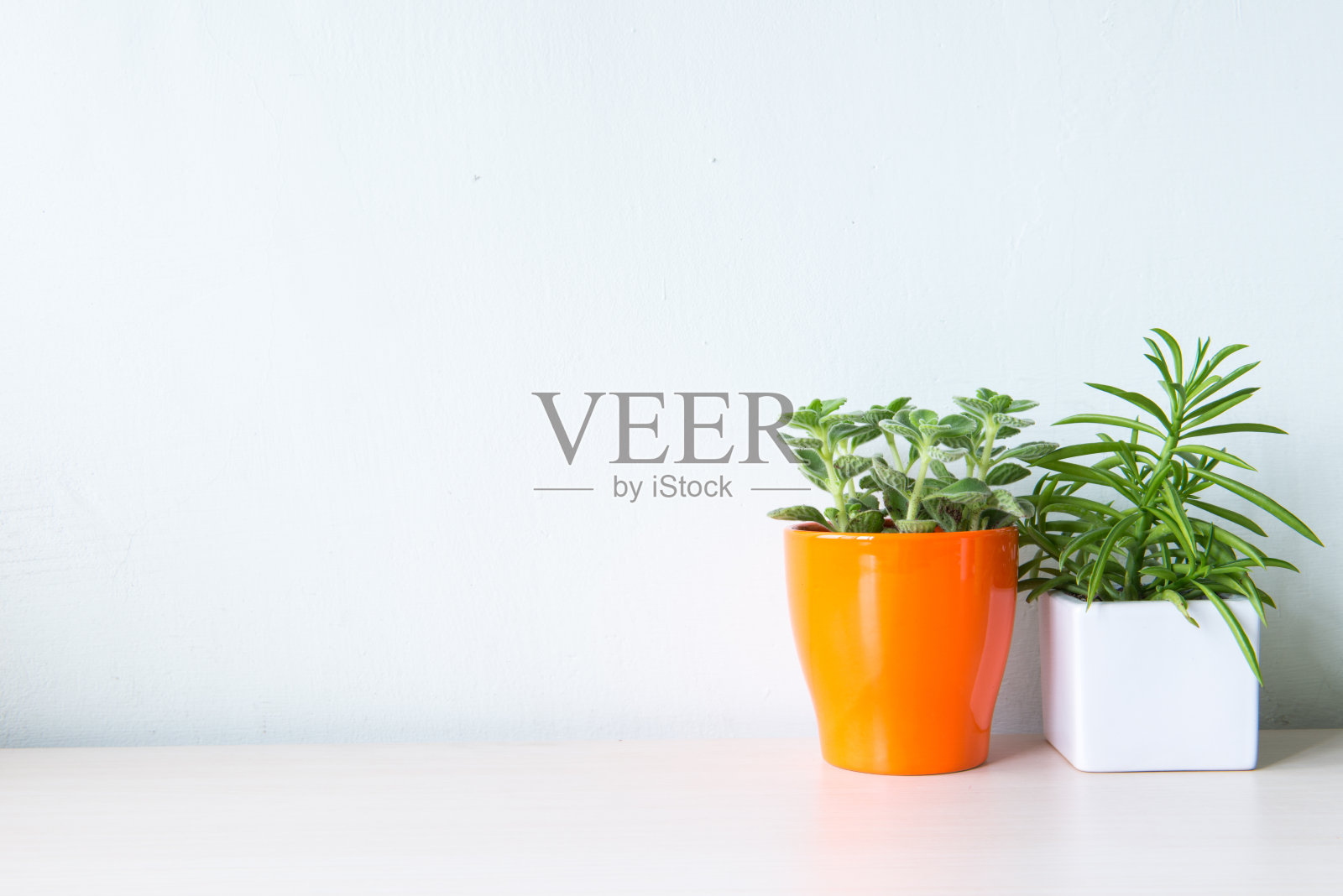 室内植物木桌和白色墙壁照片摄影图片