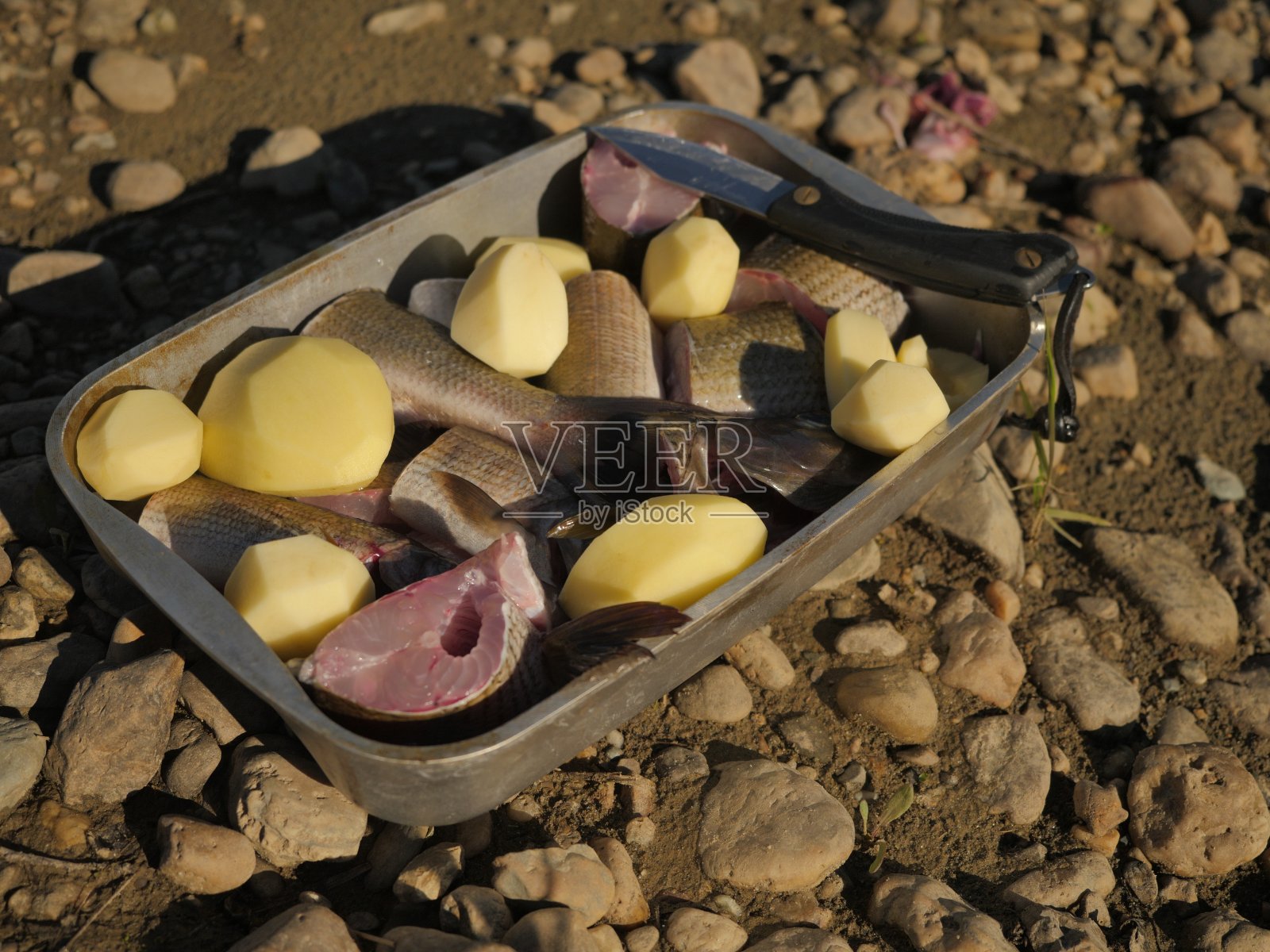 盘子里放一大块扁平的灰鱼照片摄影图片