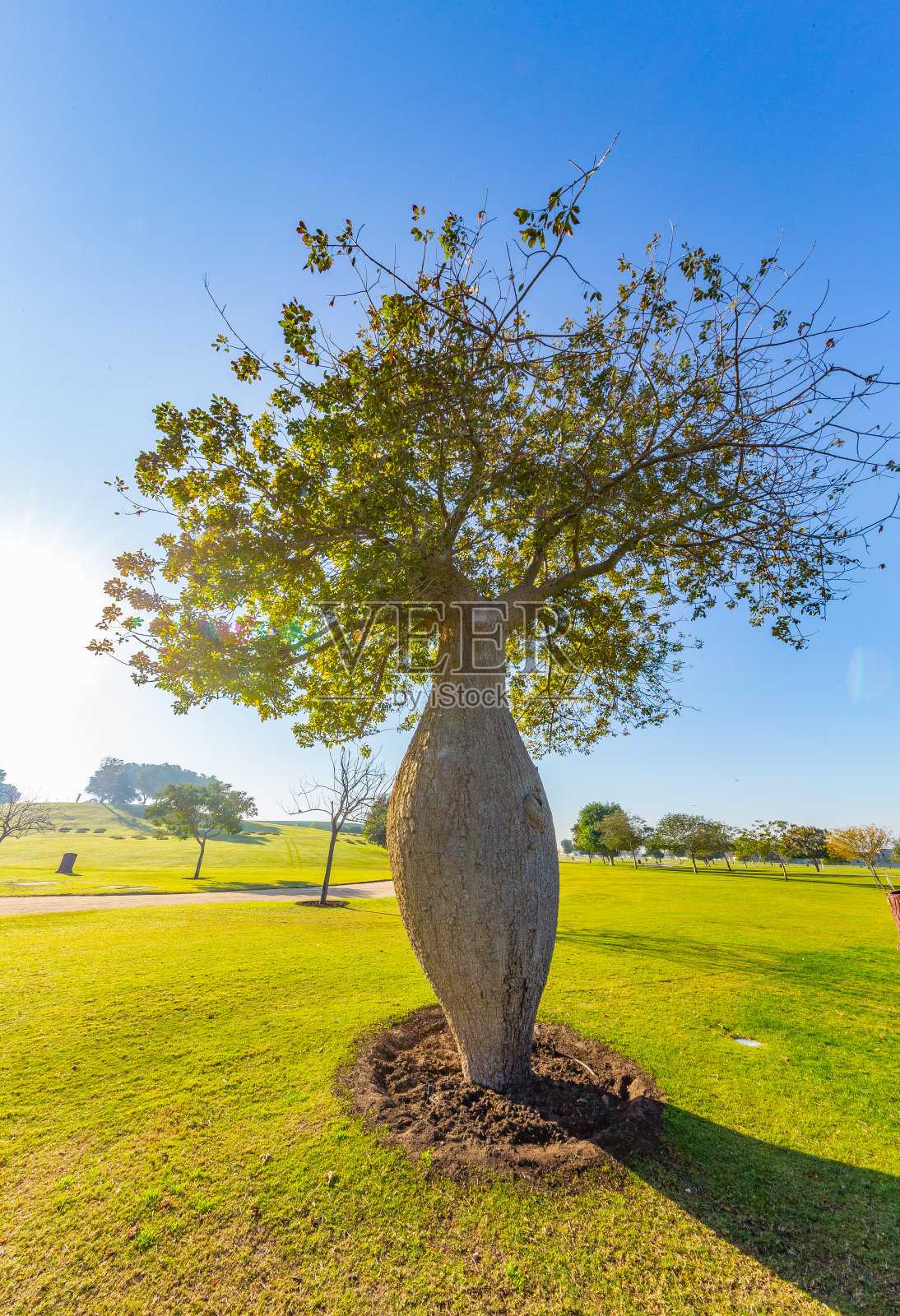 卡塔尔首都多哈阿斯拜尔公园照片摄影图片