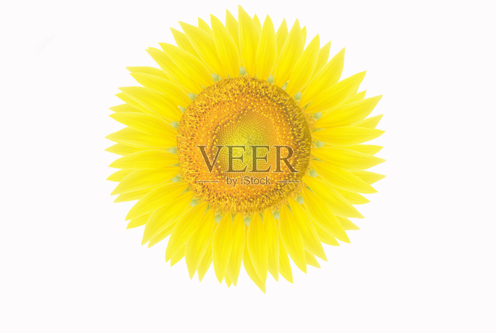 背景照片摄影图片