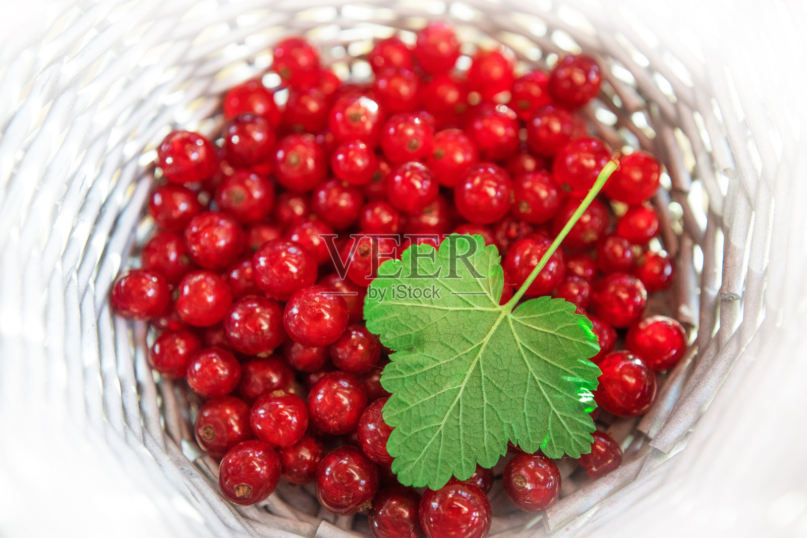 白篮子里的红醋栗照片摄影图片