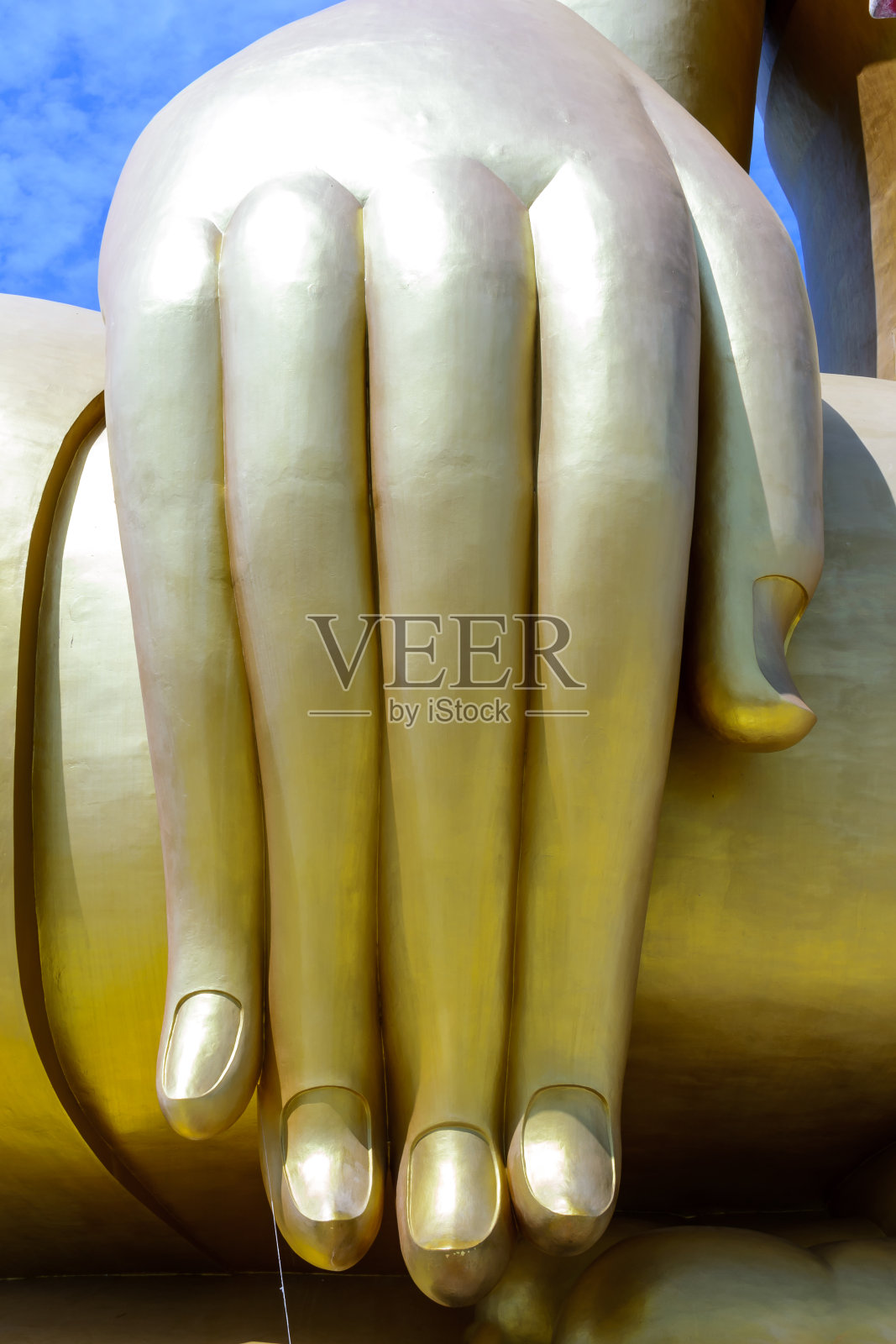 手照片摄影图片