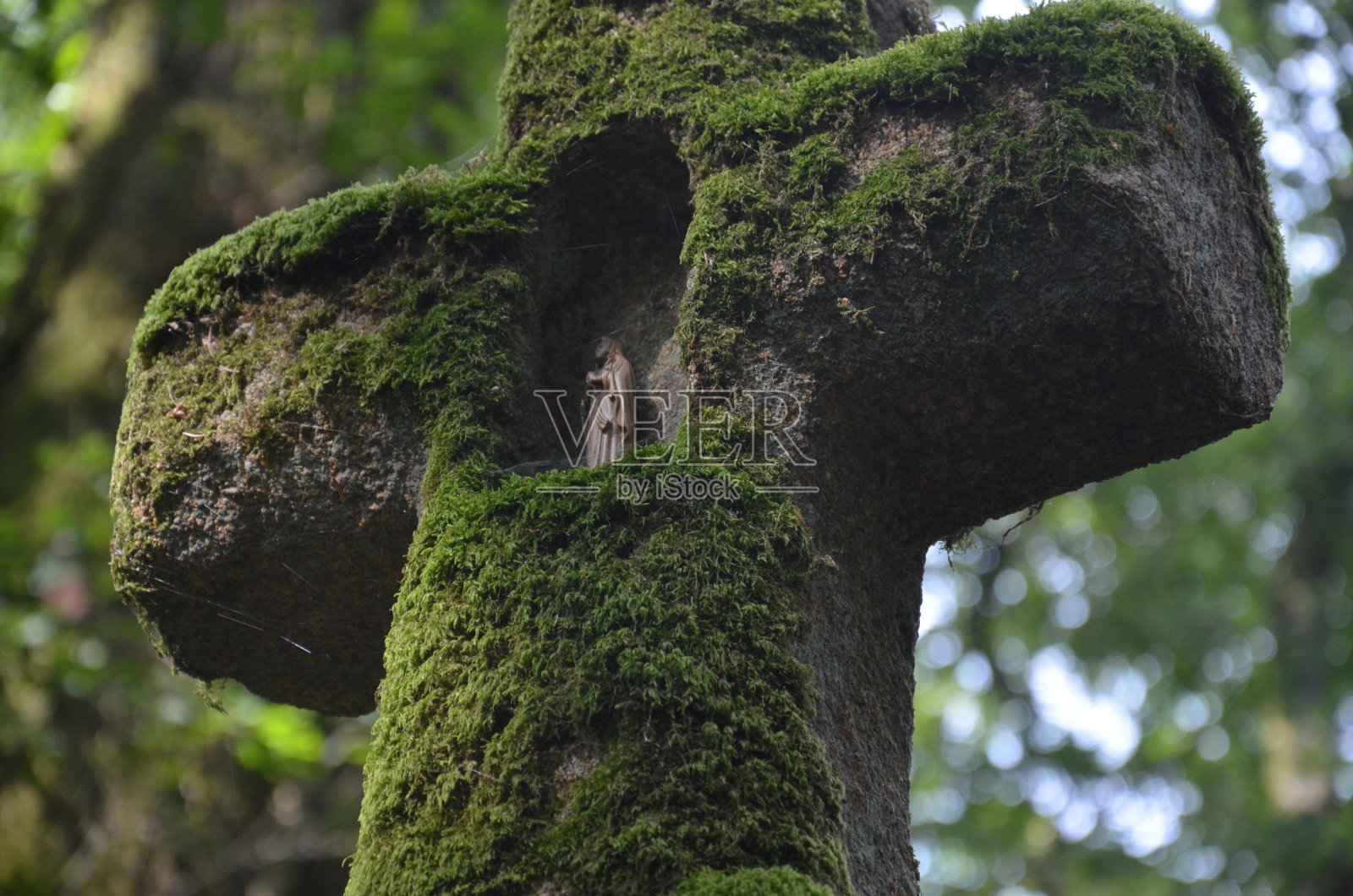 跨宗教天主教基督教圣母玛利亚绿色自然环境地衣照片摄影图片