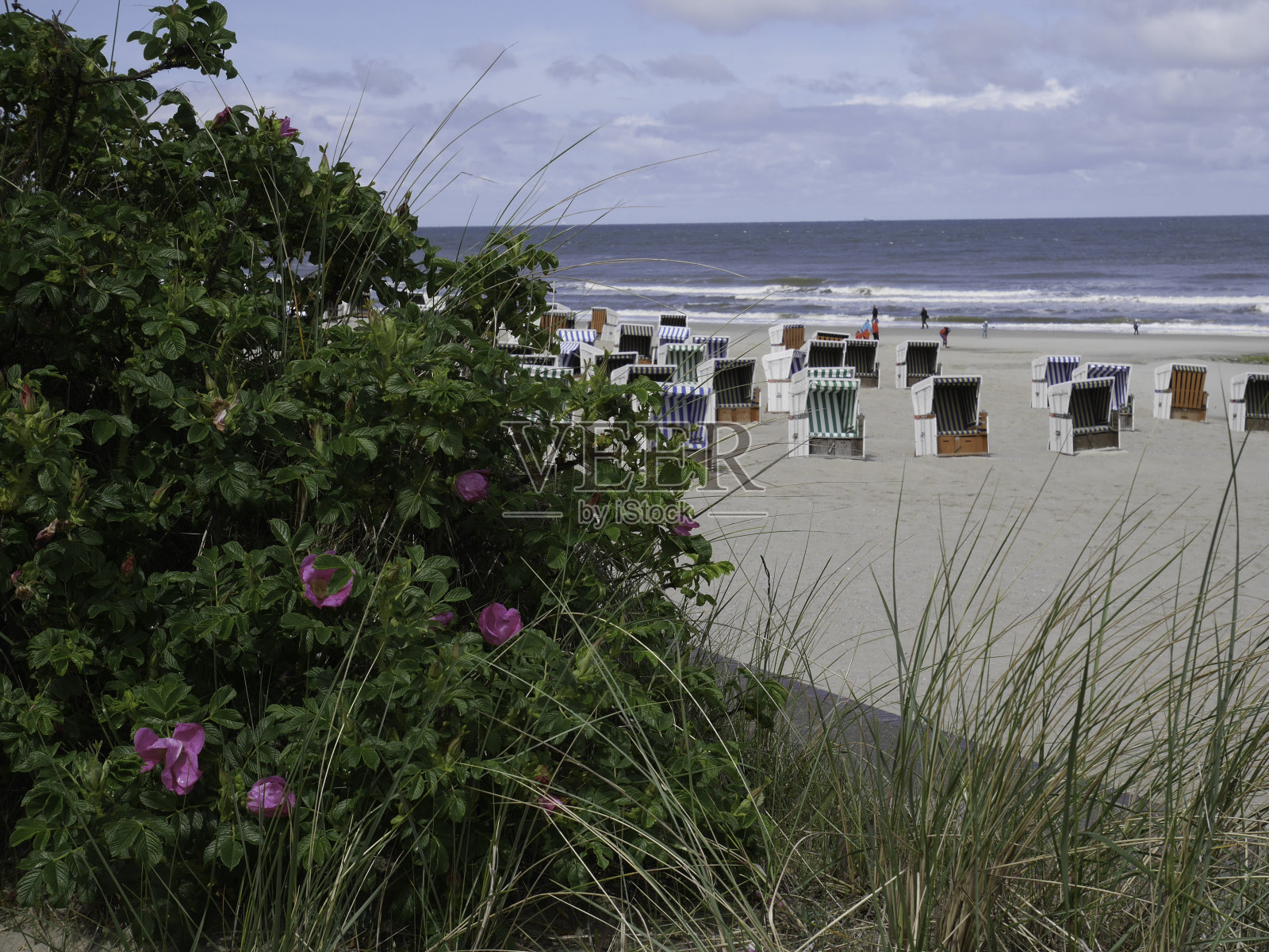 厚颜无耻的眼睛照片摄影图片