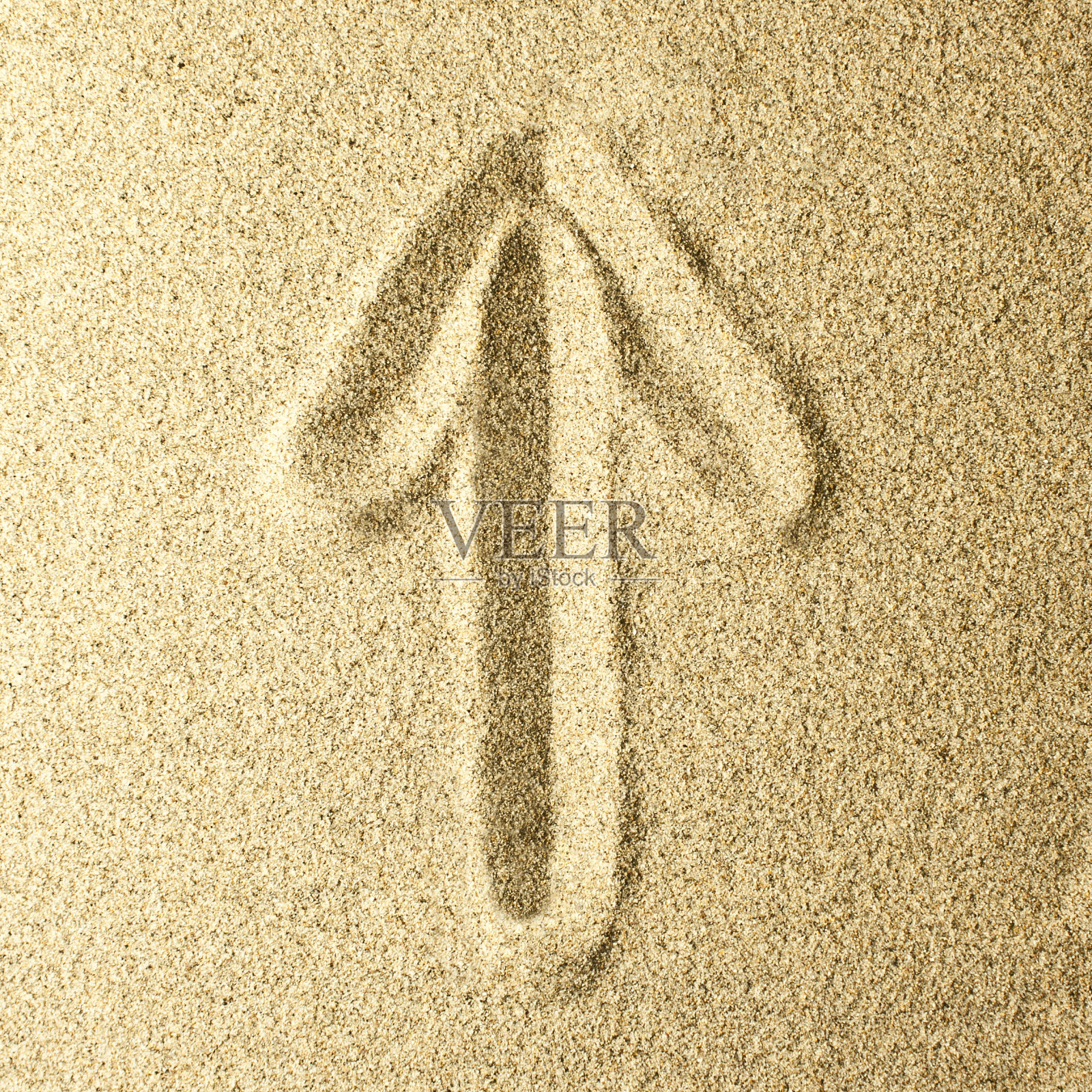 写在沙滩上的箭照片摄影图片