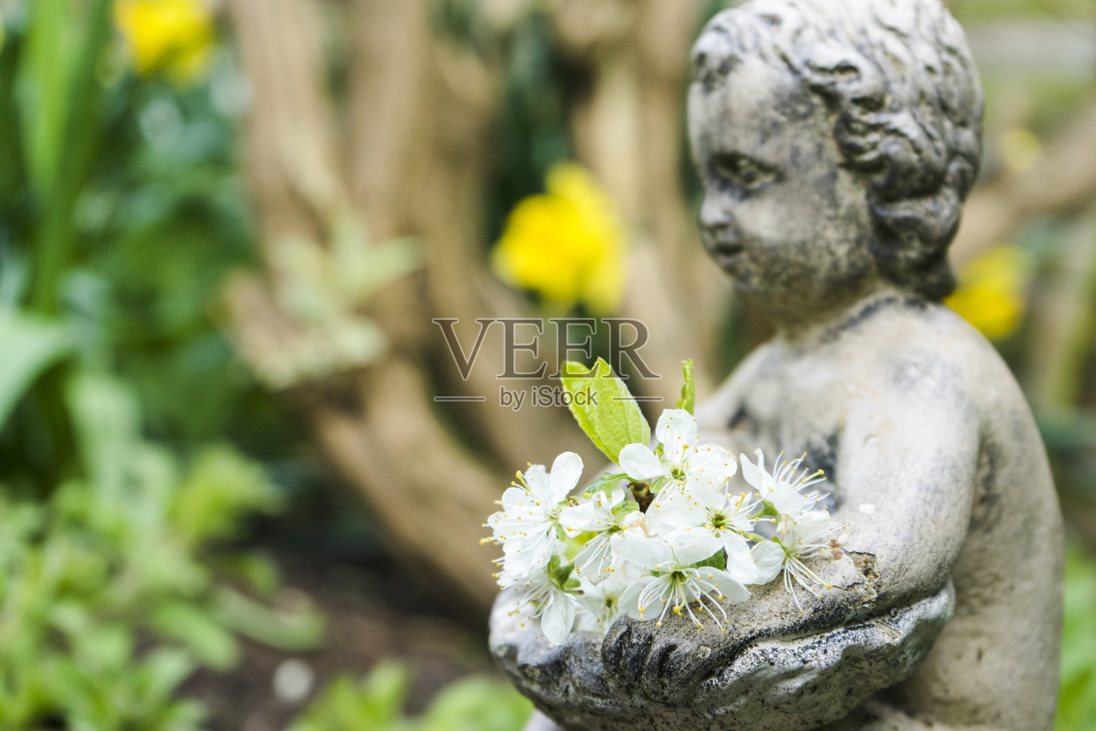 米德尔斯堡，英国，2017年4月:一个手持白花的小男孩的雕塑照片摄影图片