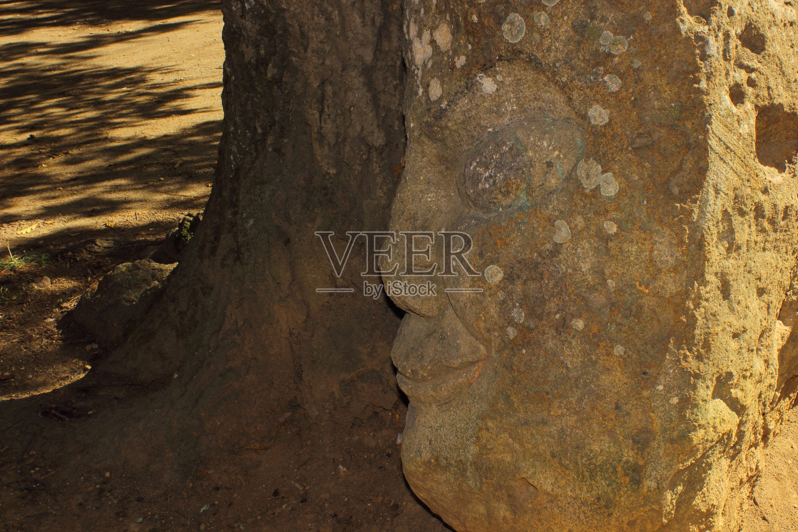 神秘的脸照片摄影图片