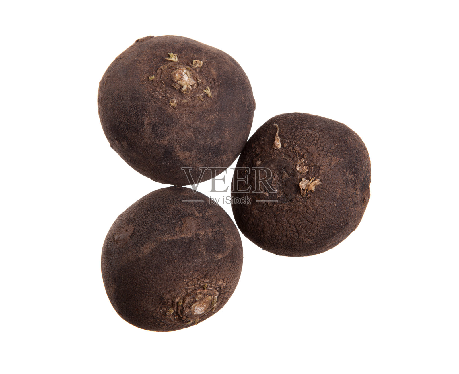 萝卜照片摄影图片