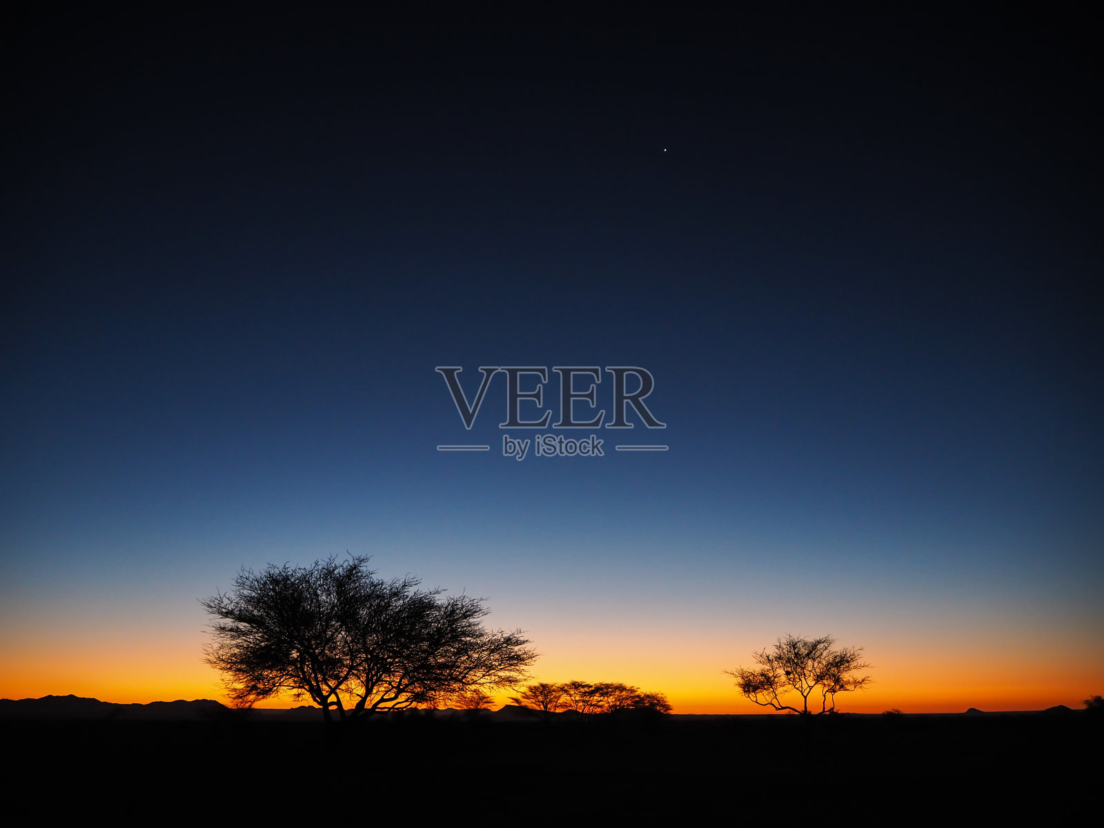 看日落，树的剪影，星星开始出现照片摄影图片