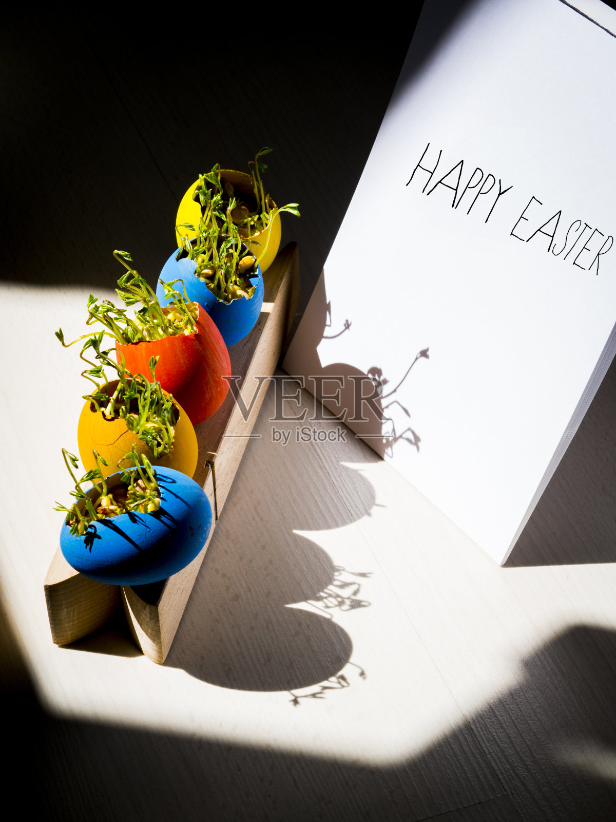 复活节快乐。从针上的蛋里长出来的草。照片摄影图片