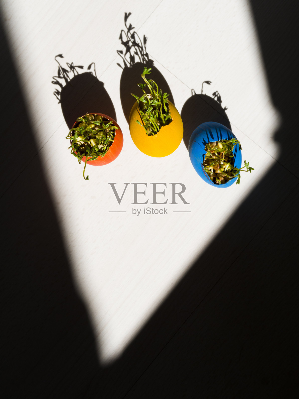 复活节快乐。从针上的蛋里长出来的草。照片摄影图片