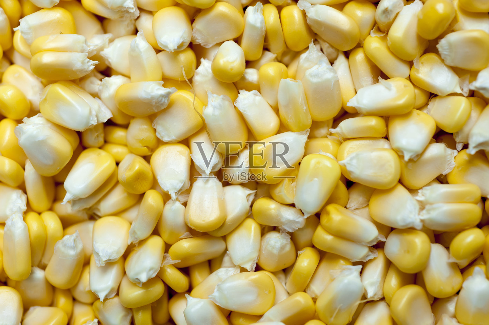 生玉米照片摄影图片