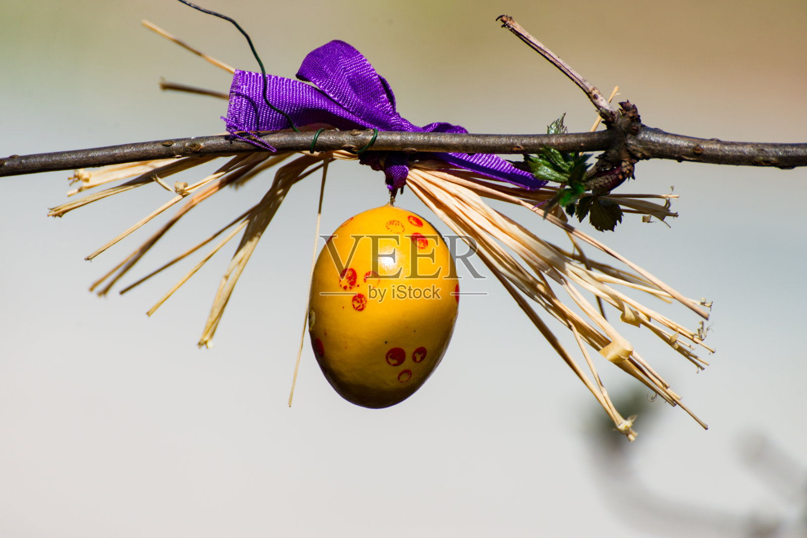 黄色的复活节彩蛋挂在复活节树上照片摄影图片