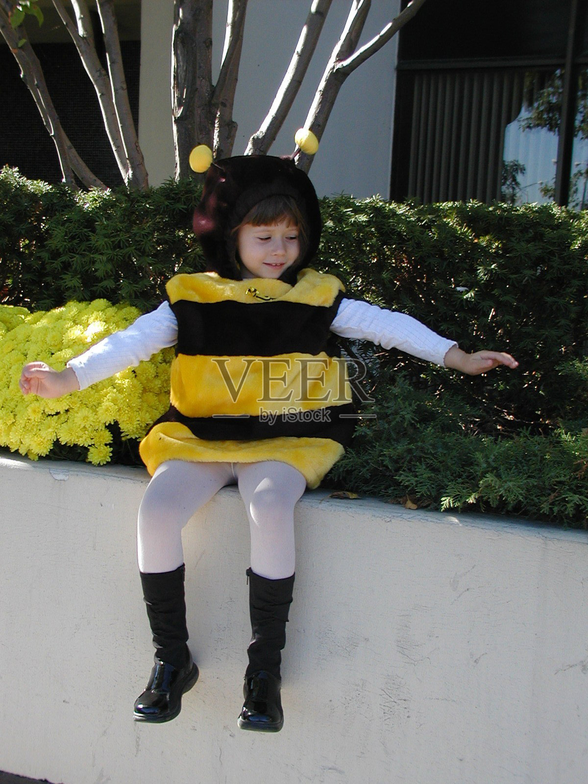 穿着大黄蜂服装的孩子照片摄影图片