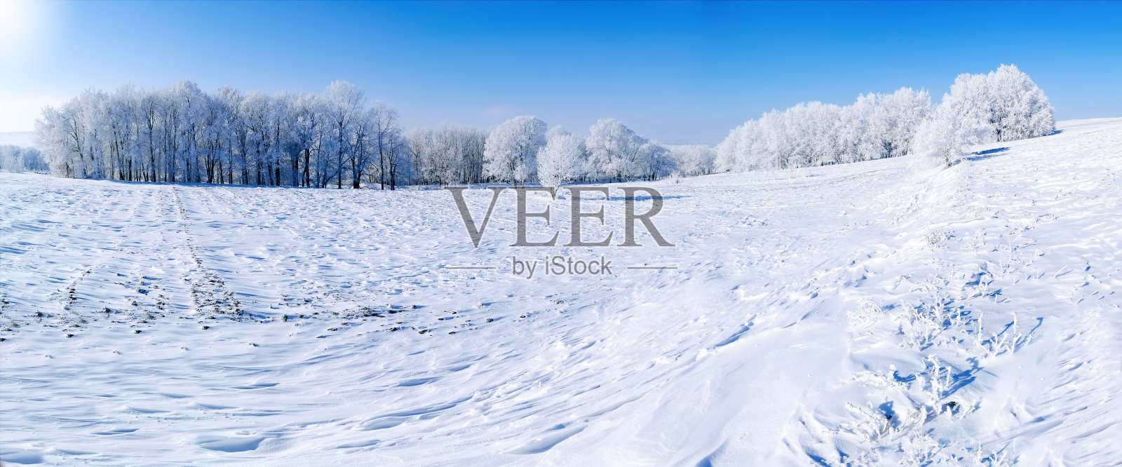 冬季森林的全景照片摄影图片