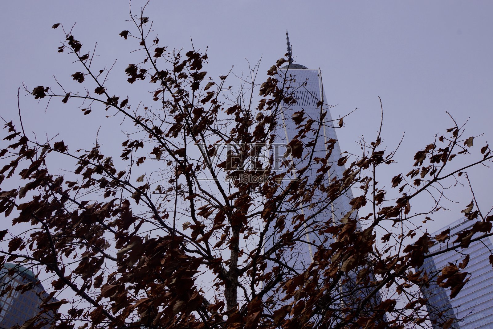 世界贸易中心一号楼照片摄影图片