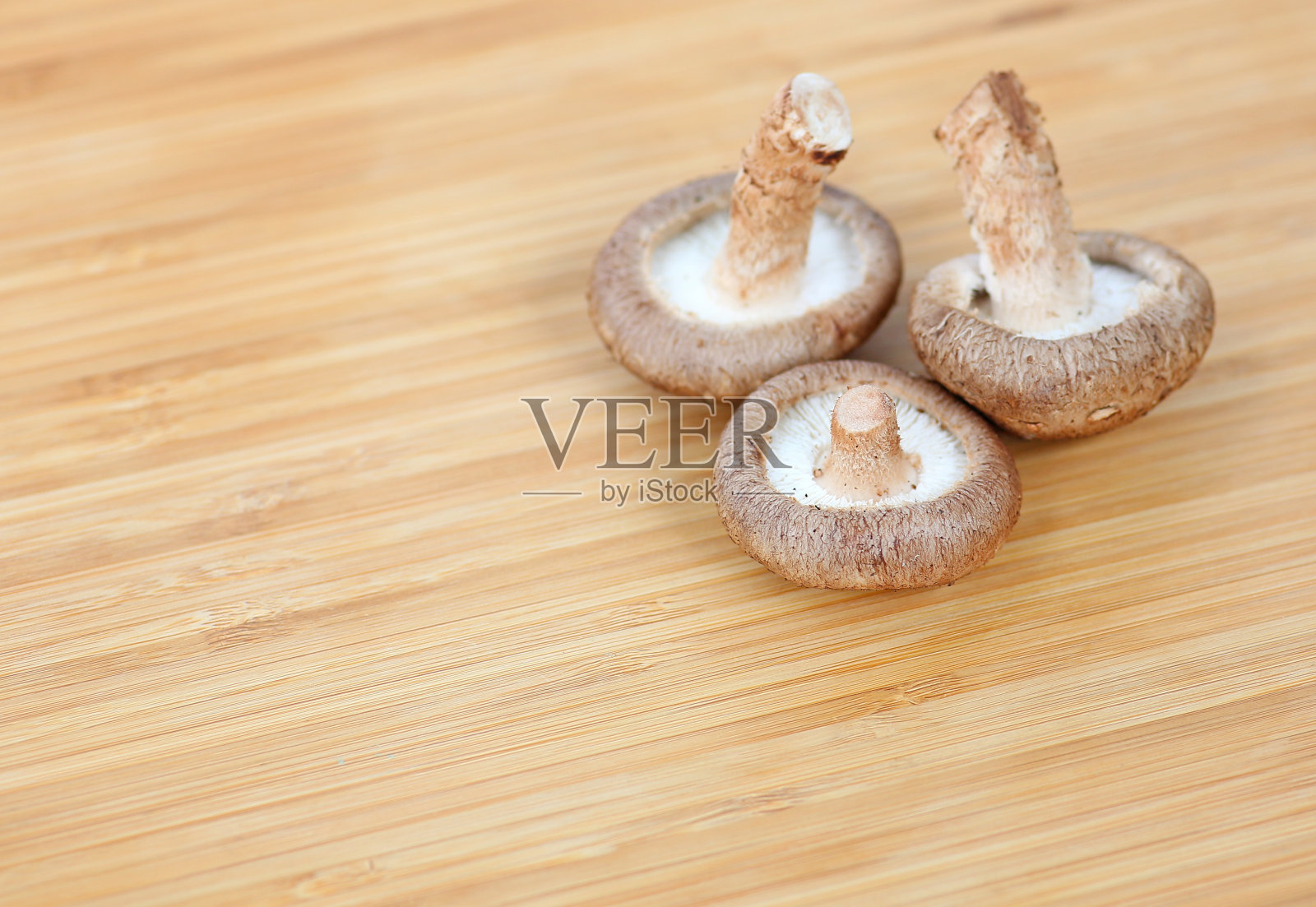 香菇照片摄影图片