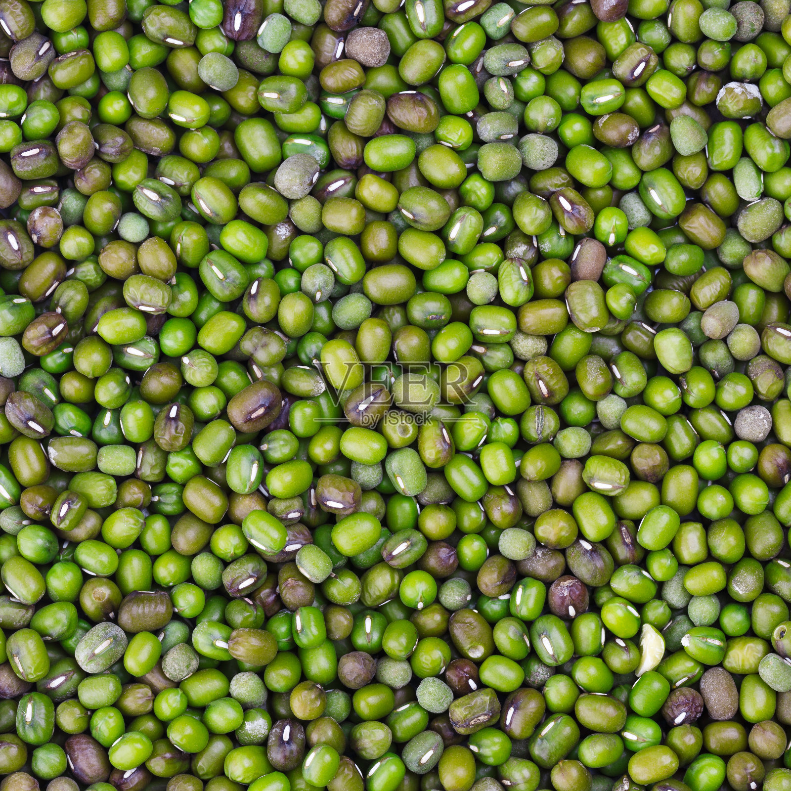 绿豆照片摄影图片