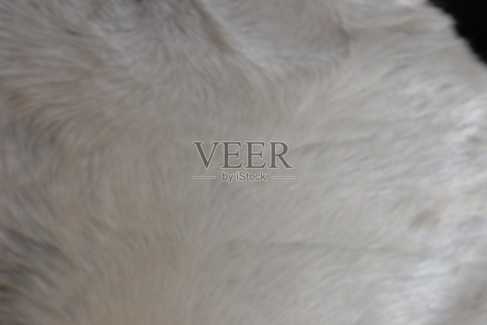 羊毛质地照片摄影图片