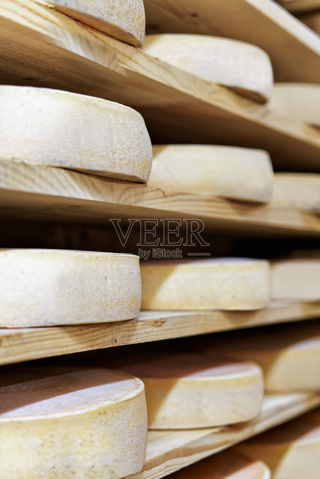 Comte陈年奶酪在成熟的地窖弗兰西斯乳品照片摄影图片