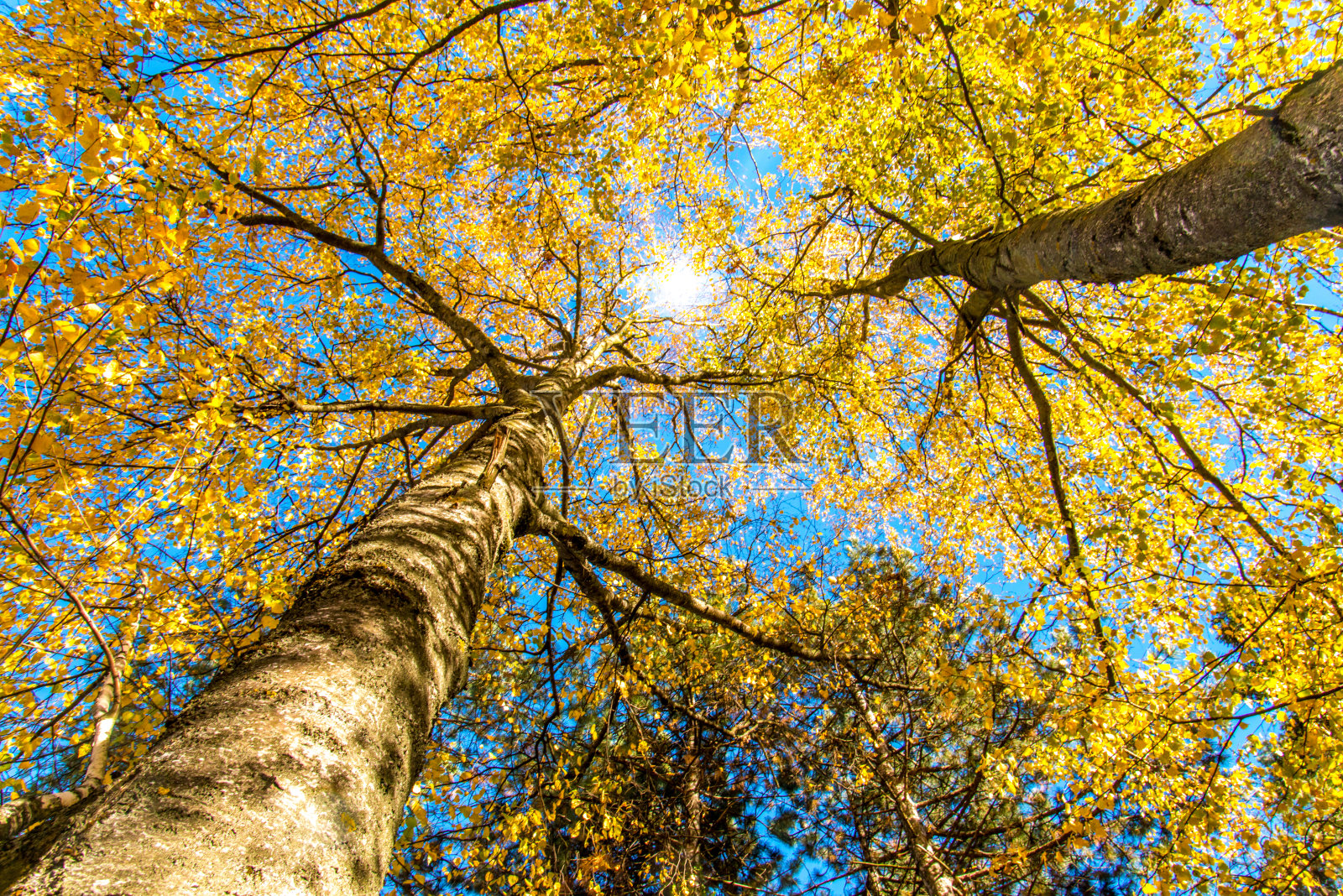 秋天大自然照片摄影图片