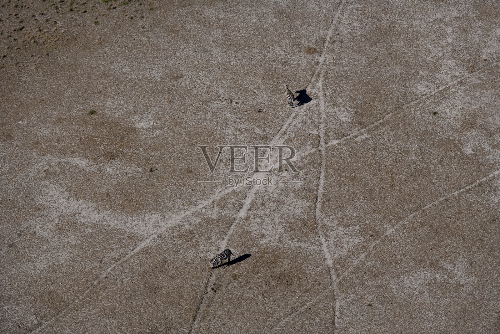 从空中俯瞰肯尼亚照片摄影图片