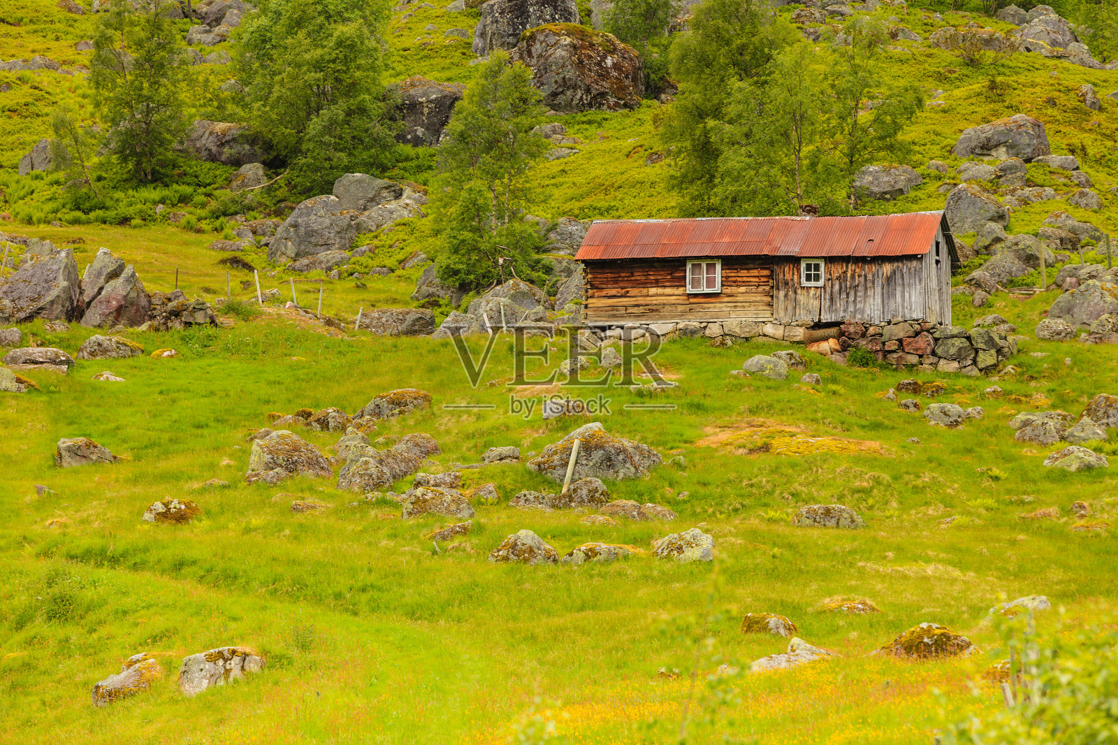 古老的木屋在森林挪威照片摄影图片