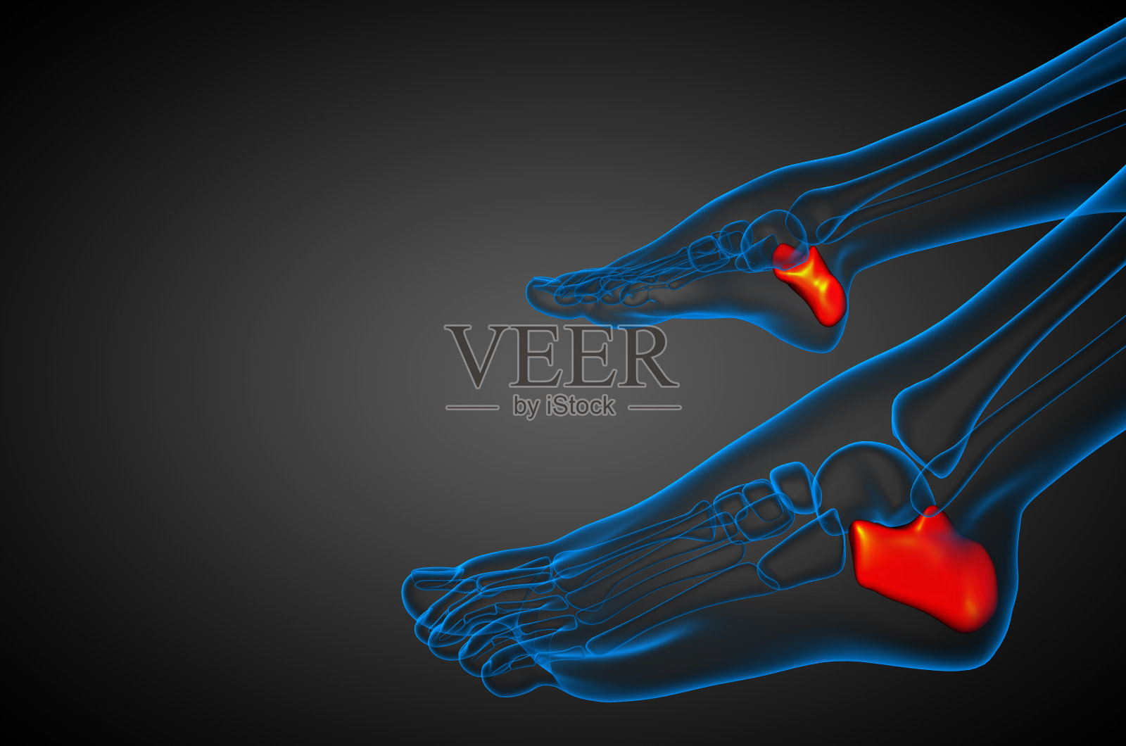 跟骨的3d渲染医学插图照片摄影图片