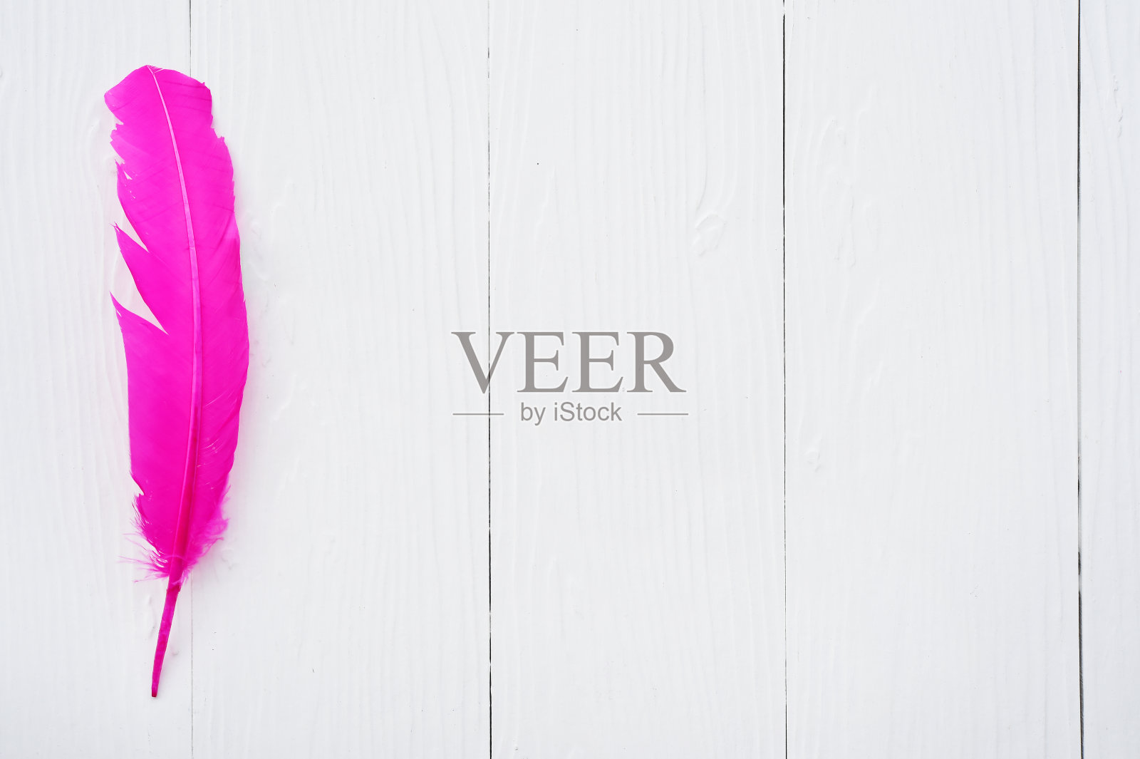 粉红色的羽毛照片摄影图片