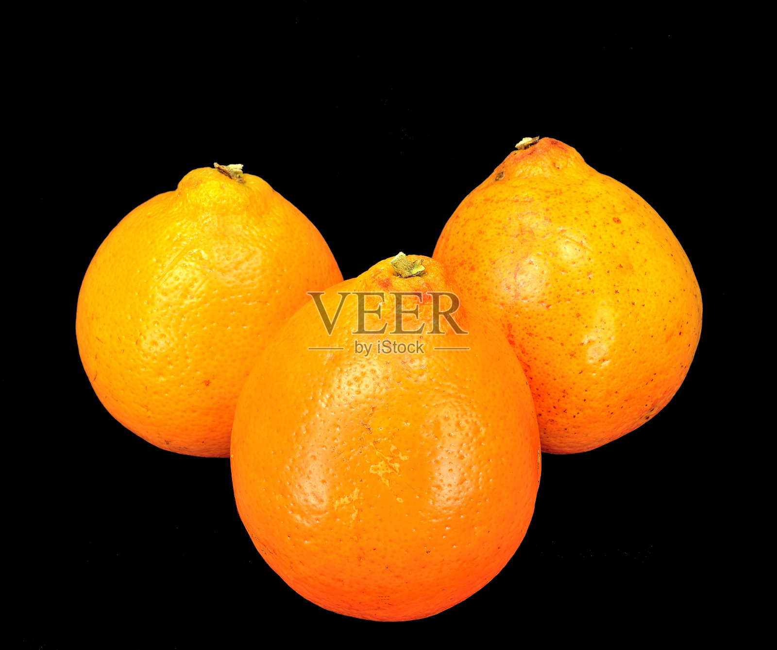 亲爱的贝尔橙子照片摄影图片