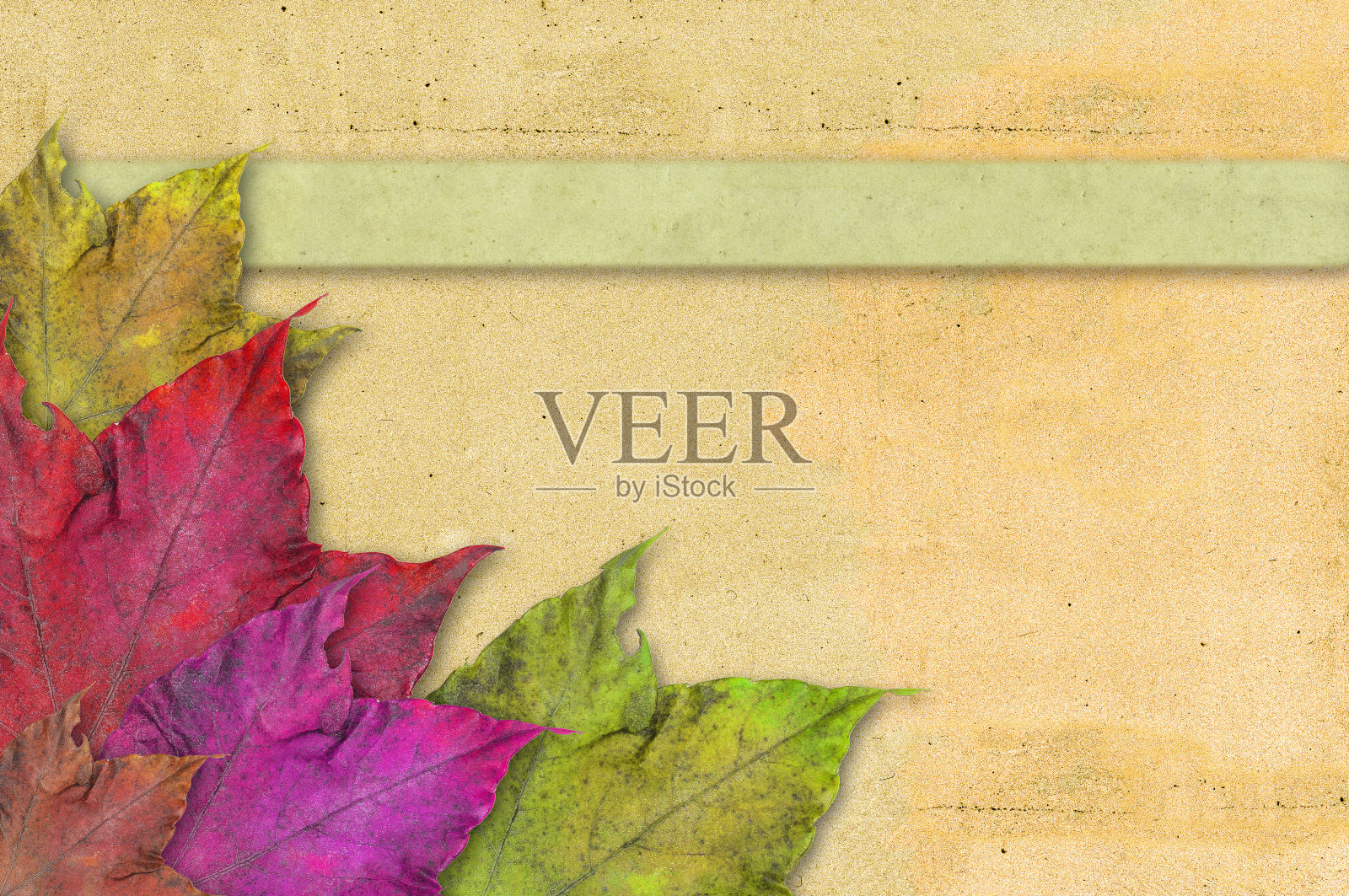 旧纸上五颜六色的叶子。插画图片素材