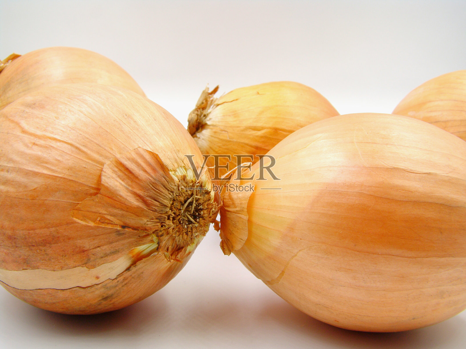 洋葱照片摄影图片