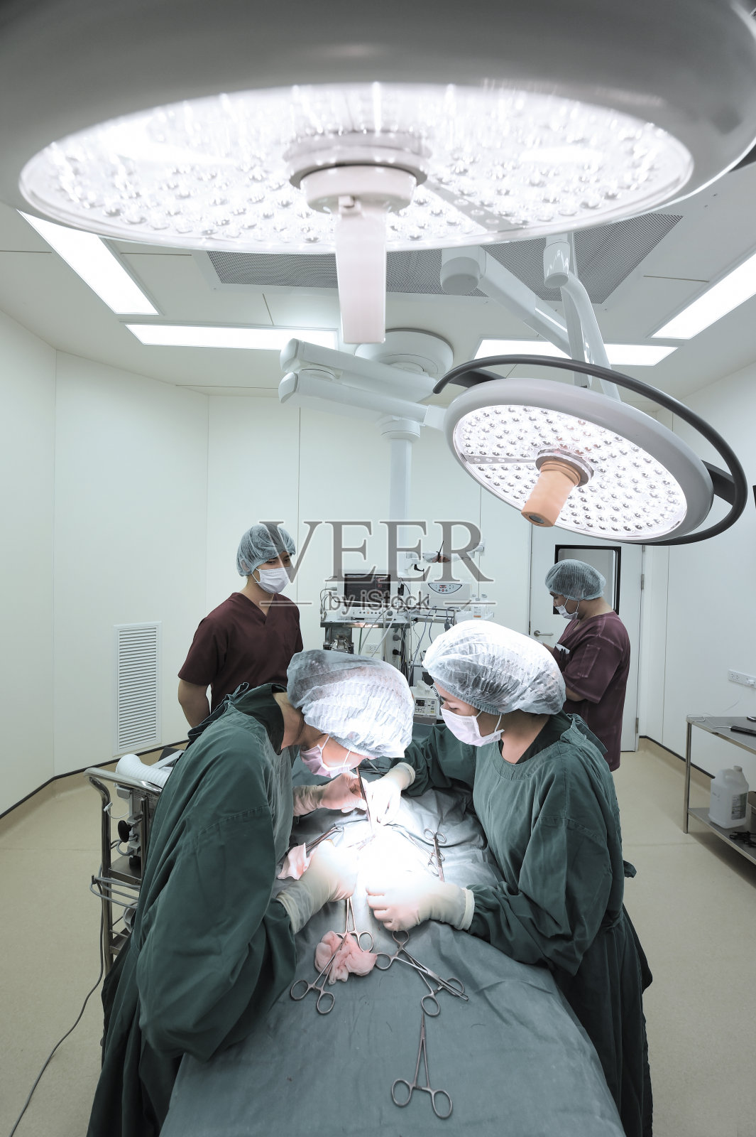 兽医师组在手术室照片摄影图片