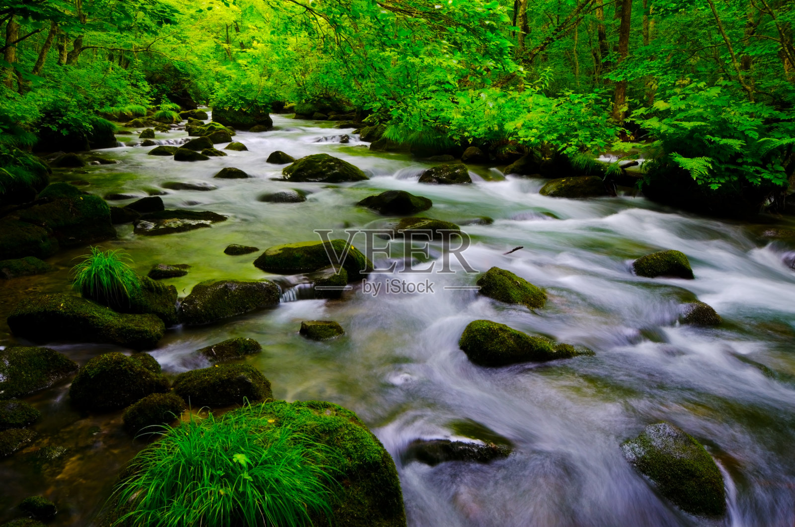 OIRASE-KEIRYU流照片摄影图片