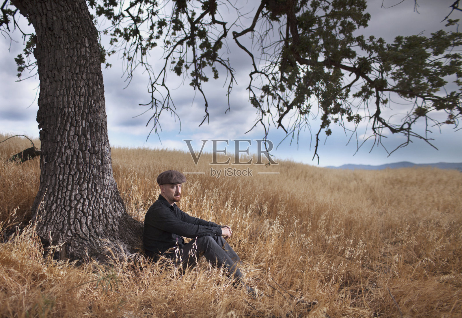 一个悲伤孤独的男人，留着红色山羊胡，穿着黑色牛仔牛仔衬衫，戴着棕色的报童帽，坐在黄色草地上的一棵大橡树下照片摄影图片