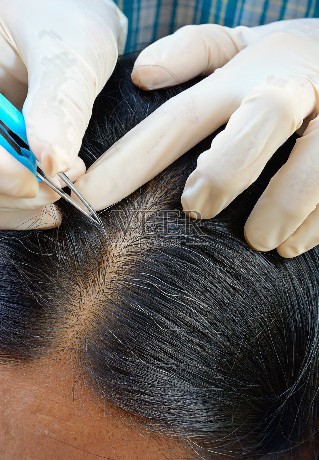 手正在去除灰色的亚洲老太太的头发照片摄影图片