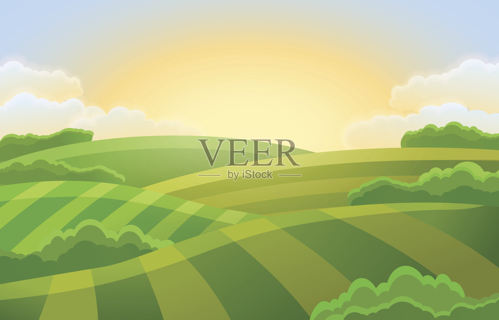 有绿色田野的乡村景观插画图片素材