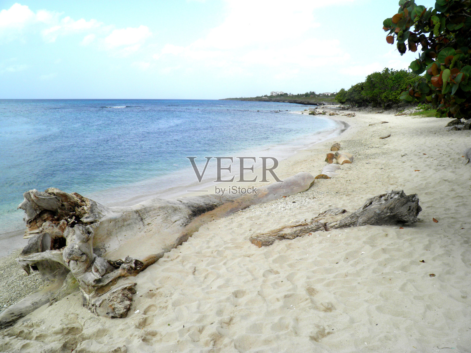 多米尼加海滩和白沙照片摄影图片