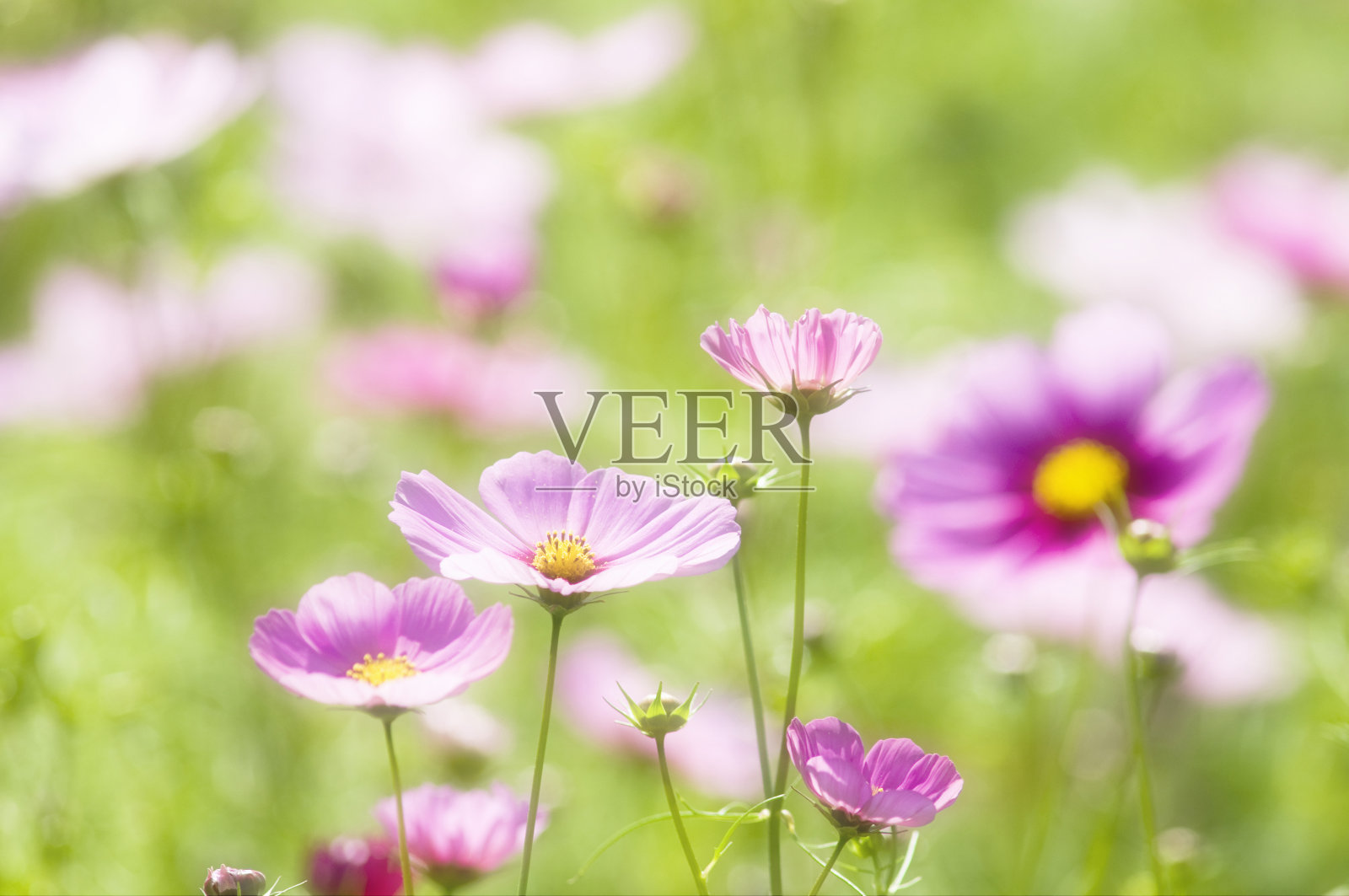 宇宙照片摄影图片