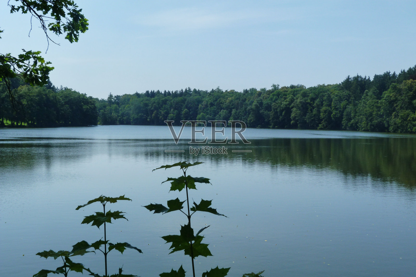 科诺皮斯特湖，捷克共和国照片摄影图片