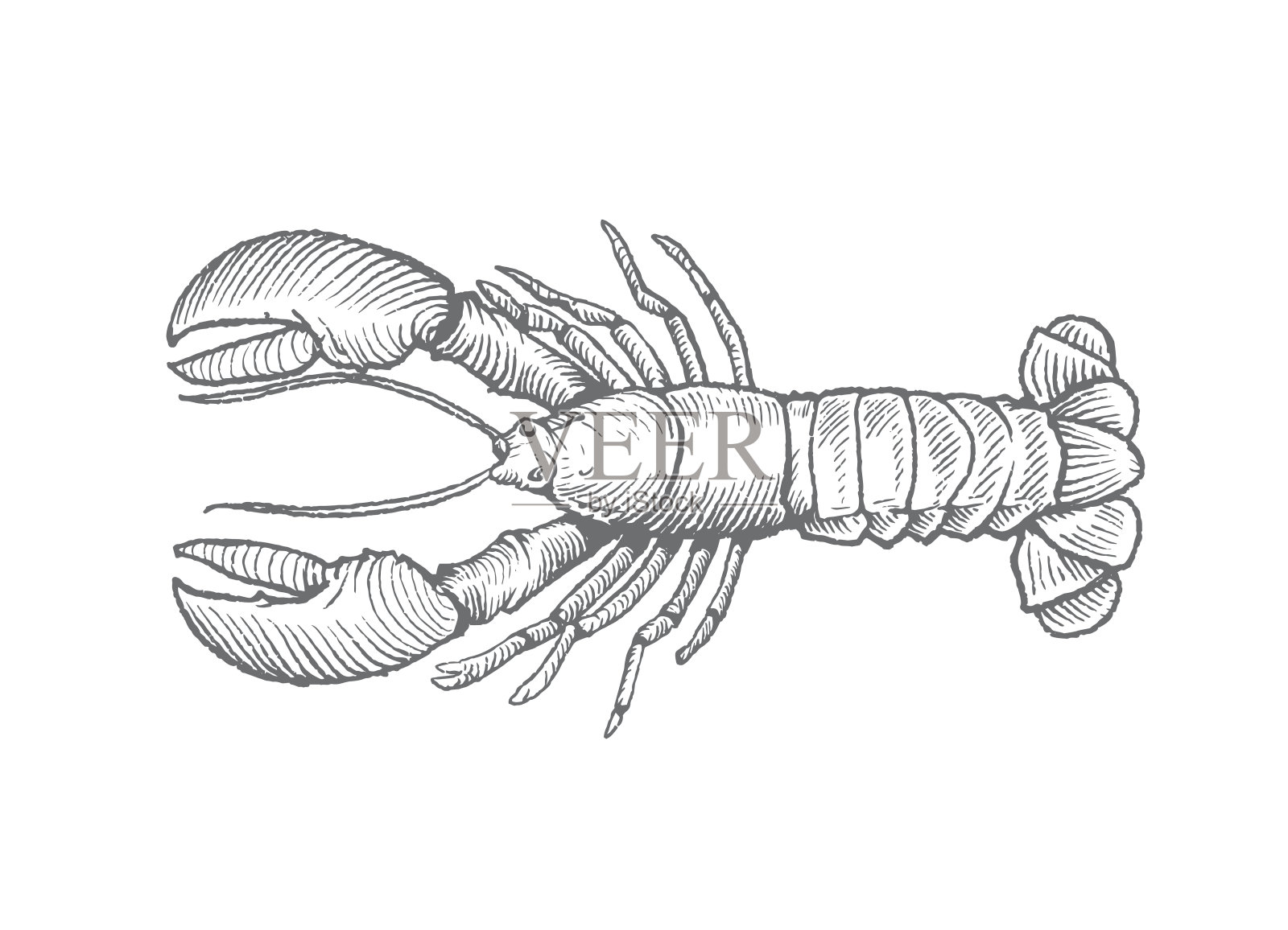 木刻龙虾插图设计元素图片