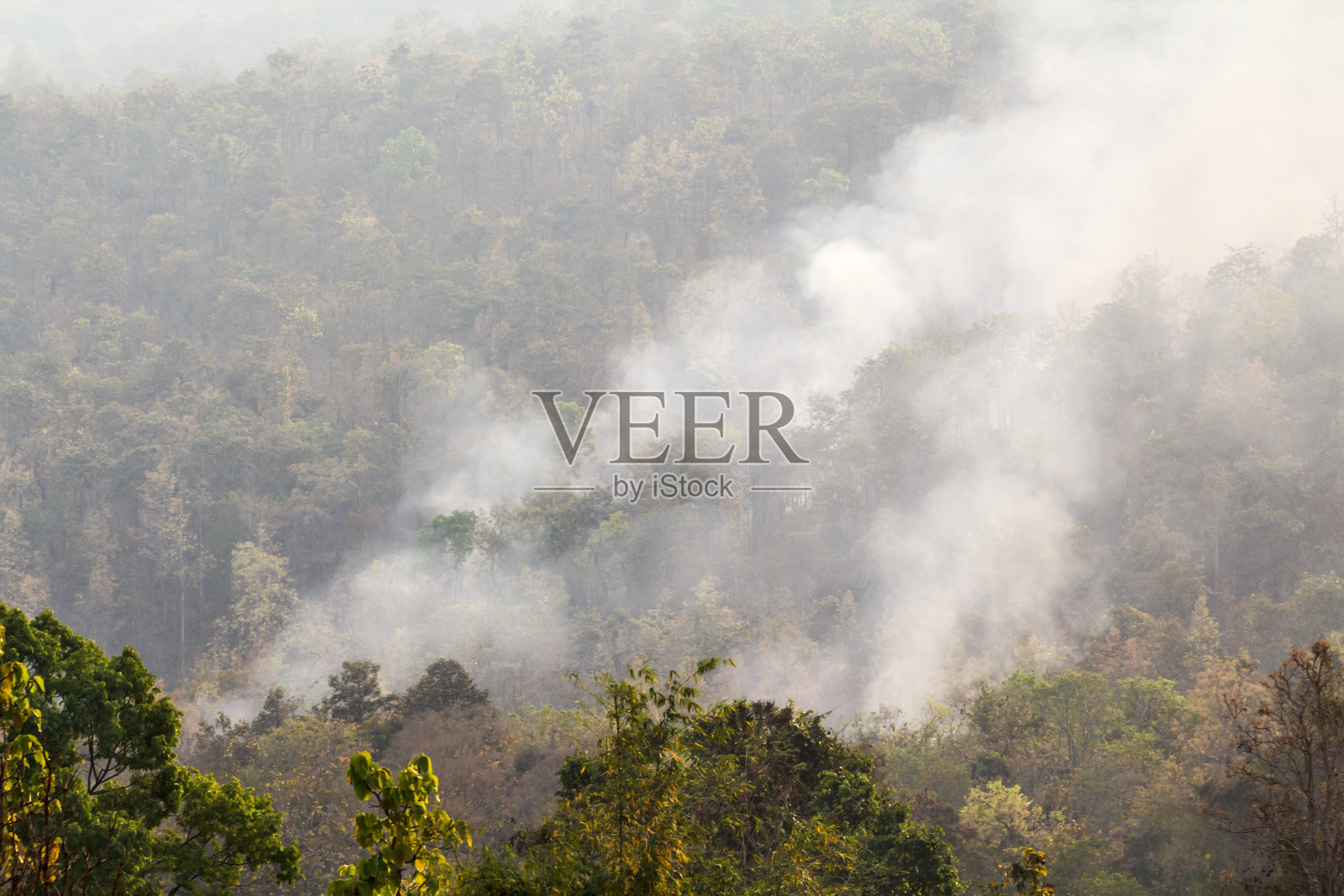 野火,泰国照片摄影图片