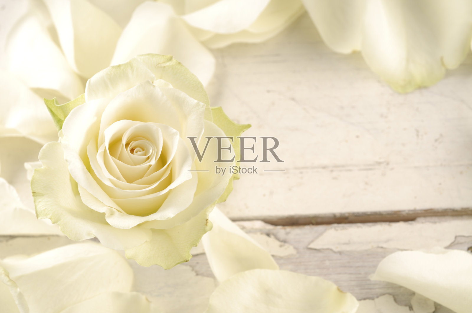 木制的背景上点缀着玫瑰和花瓣照片摄影图片