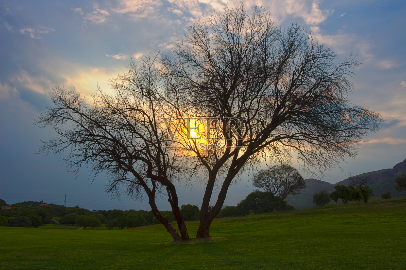 HDR日落与树在Magaliesburg地区2照片摄影图片
