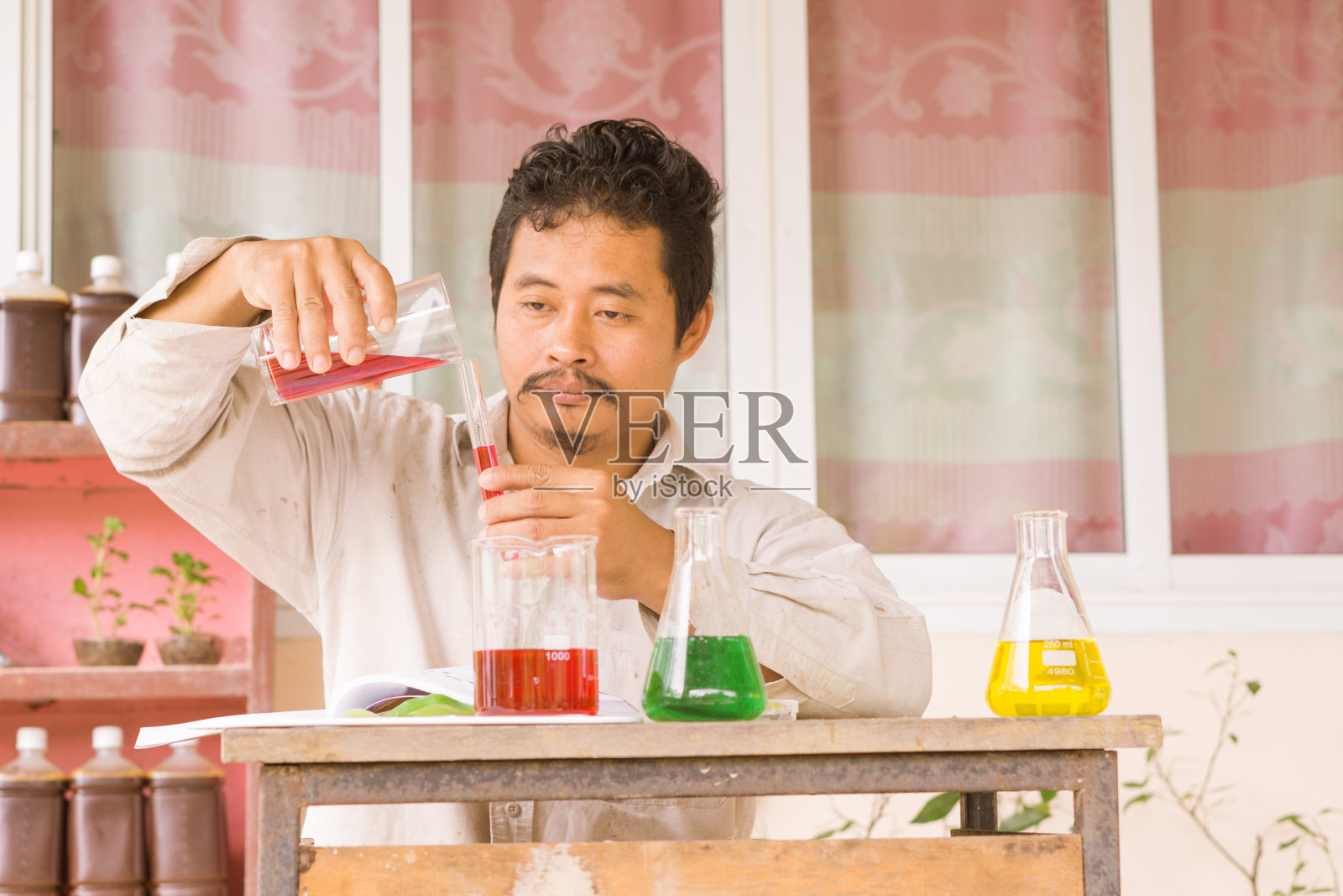 人们在种植园里种植蔬菜照片摄影图片