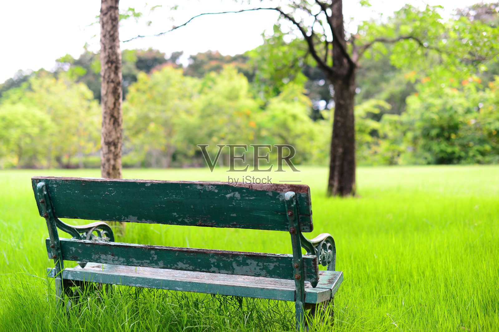 公园长椅- Vachirabenjatas公园(Rot Fai park)照片摄影图片