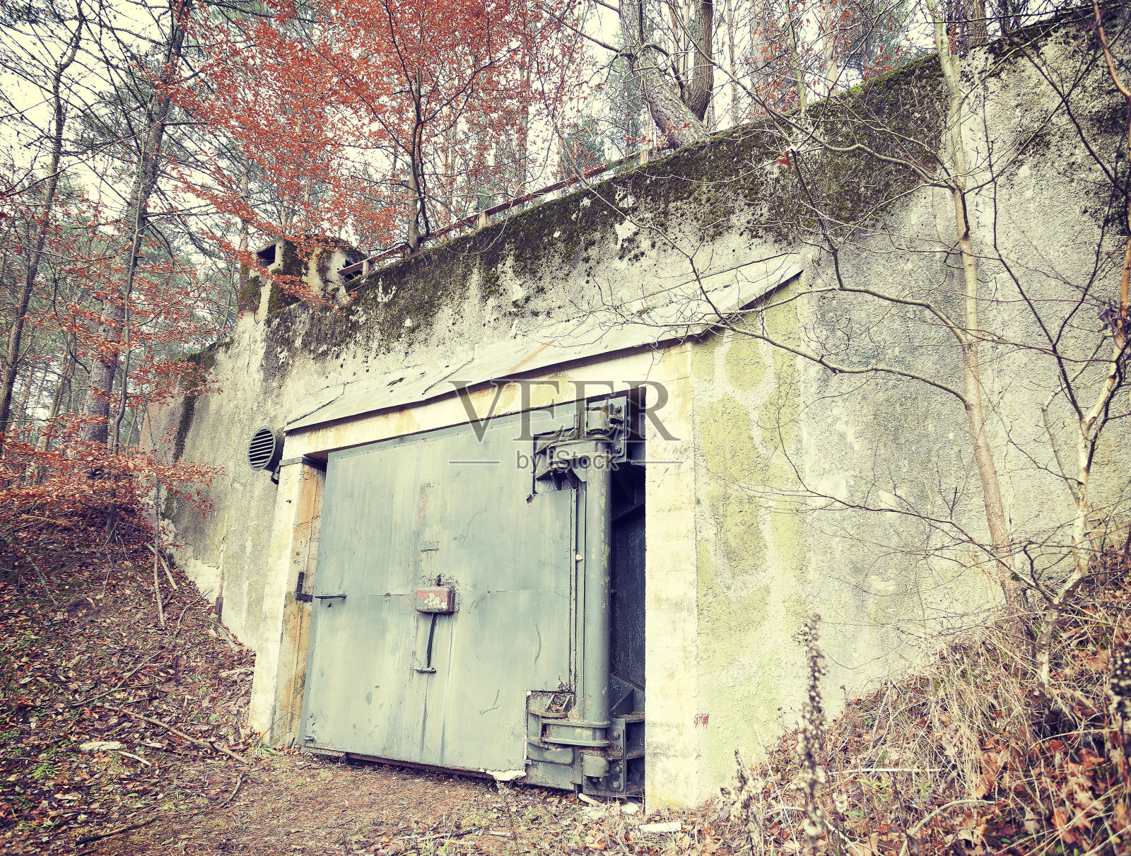 森林里掩体的滤镜照片。照片摄影图片